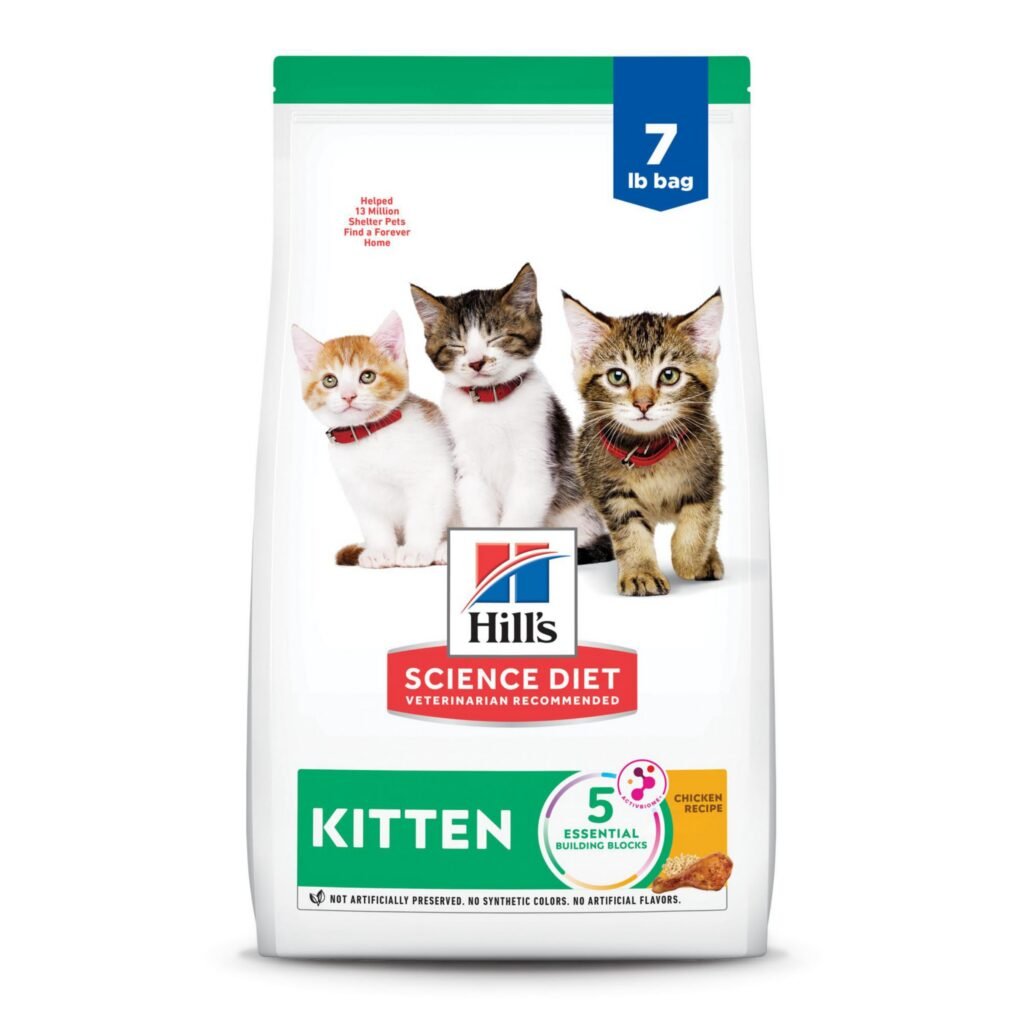 HILLS F KITTEN