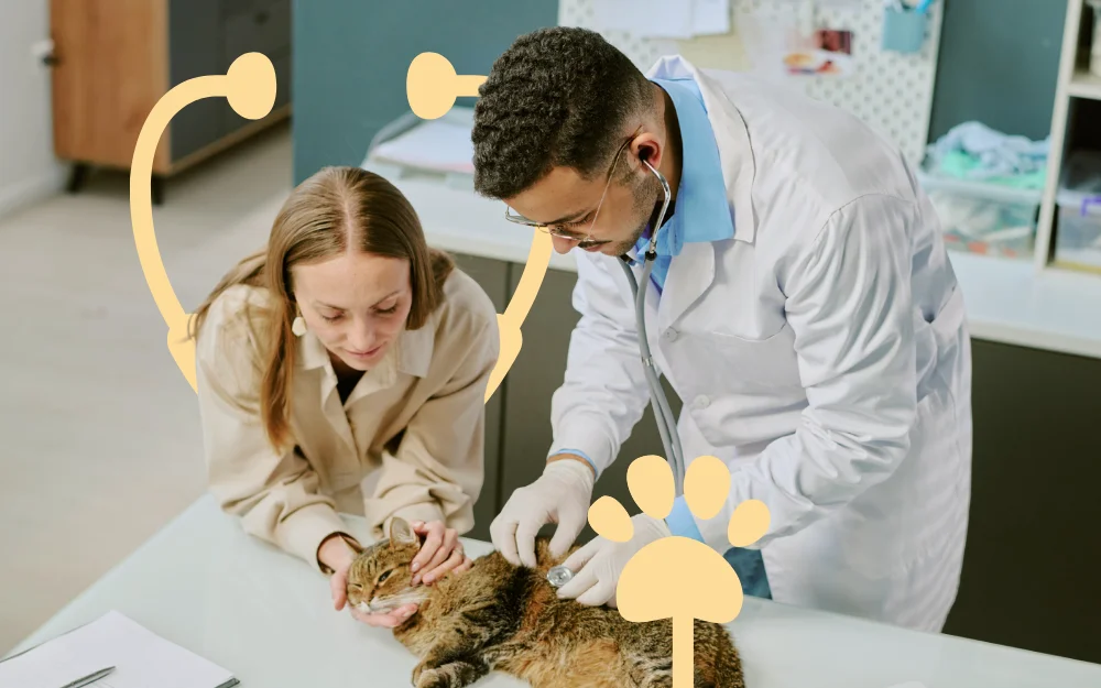 imagen-beneficios-veterianira-tienda-de-mascotas