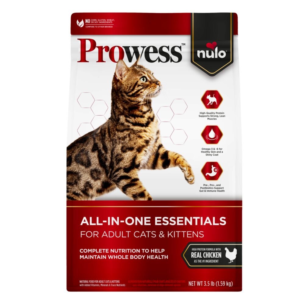 NN PROFESSIONAL CAT