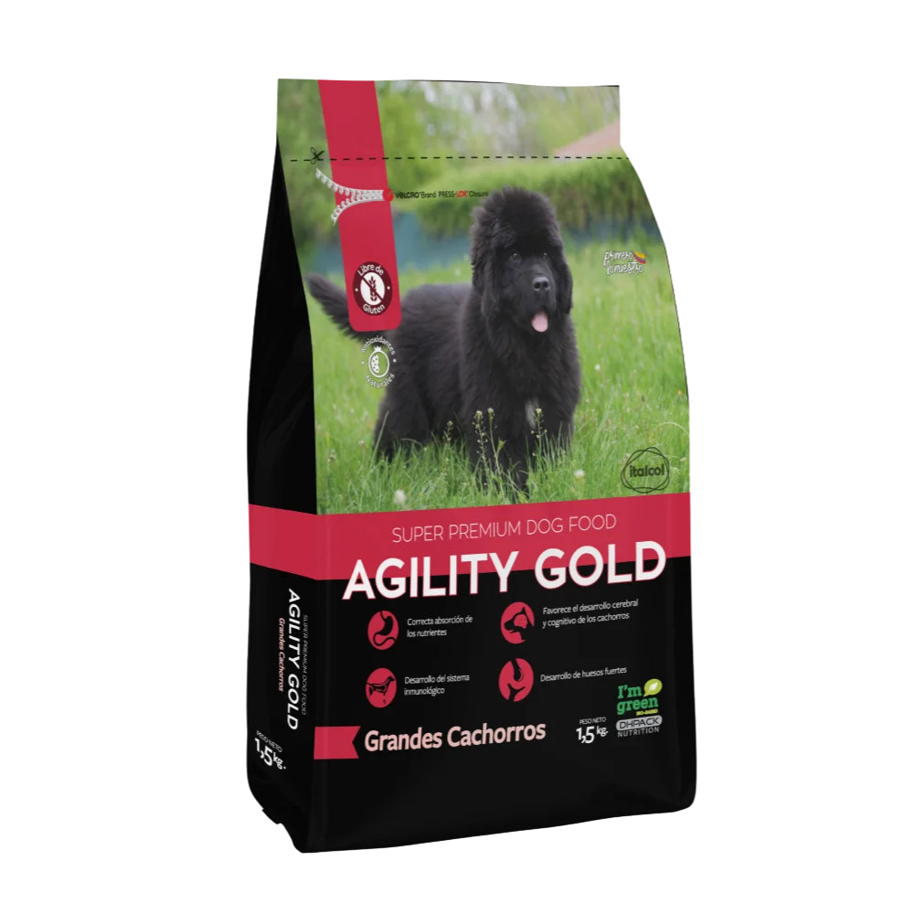 AGILITY GRANDES CACHORROS
