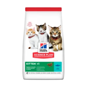 HILLS F KITTEN Gatos alimento mascotas Skapets Colombia
