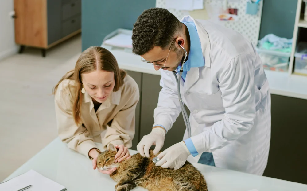 imagen-beneficios-veterianira-tienda-de-mascotas
