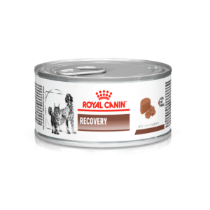 Royal Canin Recovery 0.14 kg