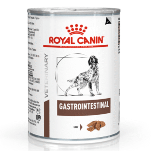 Royal Canin Intestinal 380 g