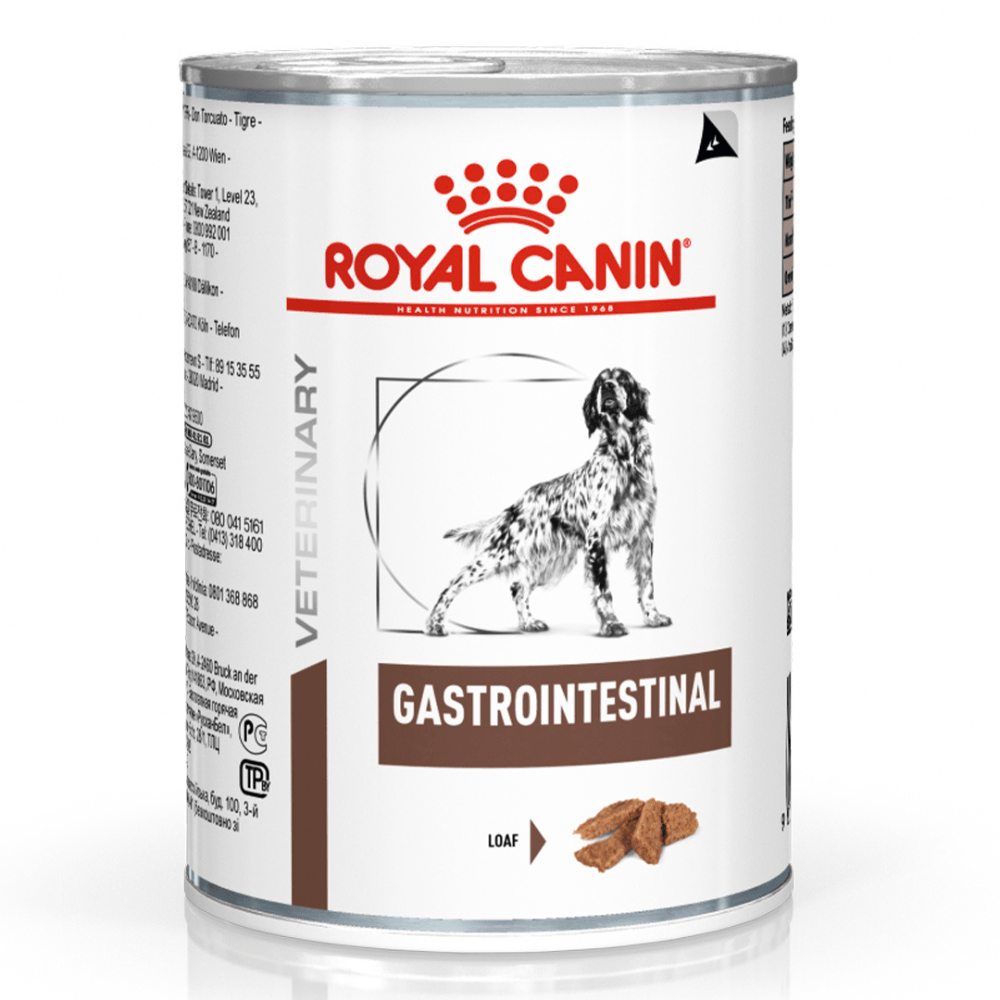 Royal Canin Intestinal 380 g